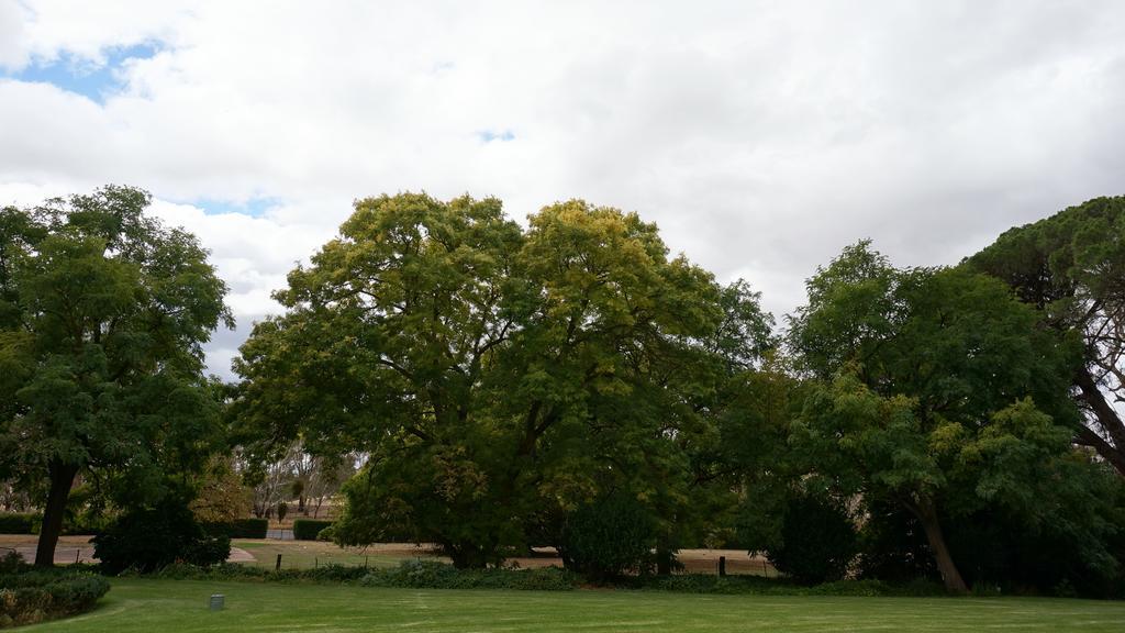 Collingrove Homestead 앵거스톤 외부 사진