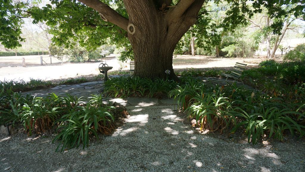 Collingrove Homestead 앵거스톤 외부 사진