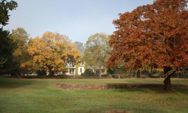 Collingrove Homestead 앵거스톤 외부 사진