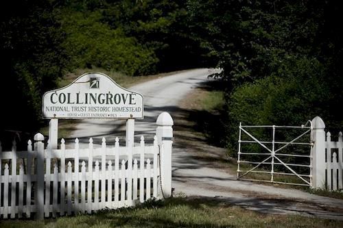 Collingrove Homestead 앵거스톤 외부 사진